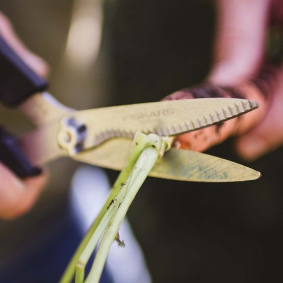 Large Walnut Garden Scissors